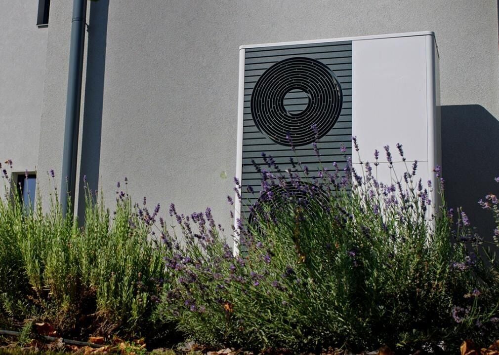 Why most Americans consider going green in home upgrades: Their wallets